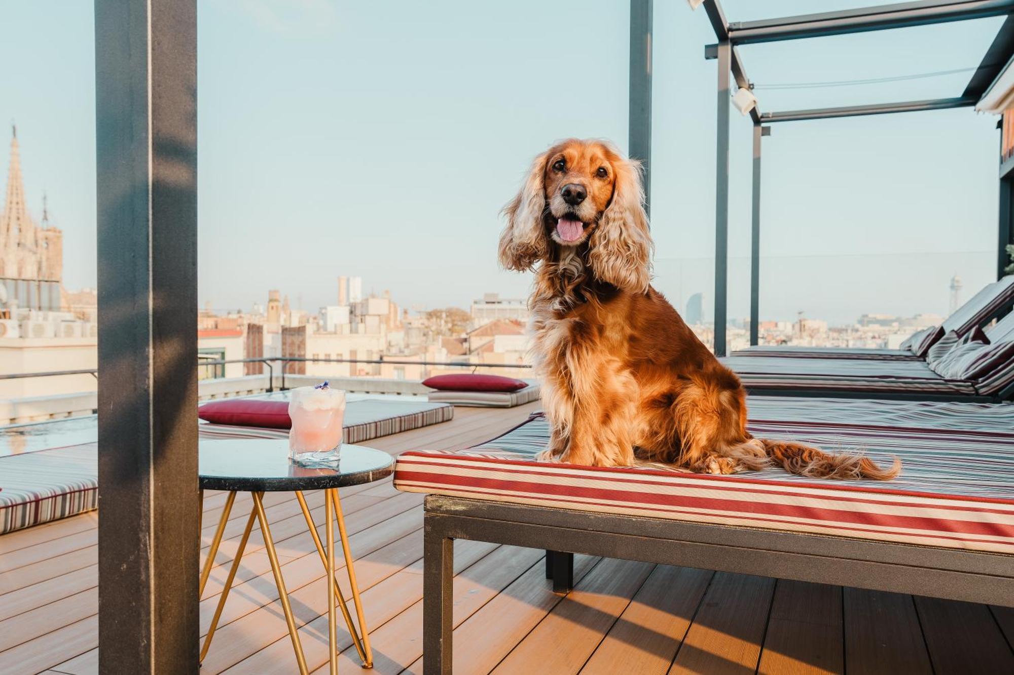 Kimpton Vividora By Ihg Hotel Barcelona